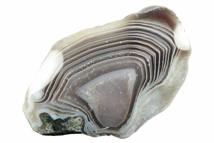 Polished Botswana Agate - Botswana #247993